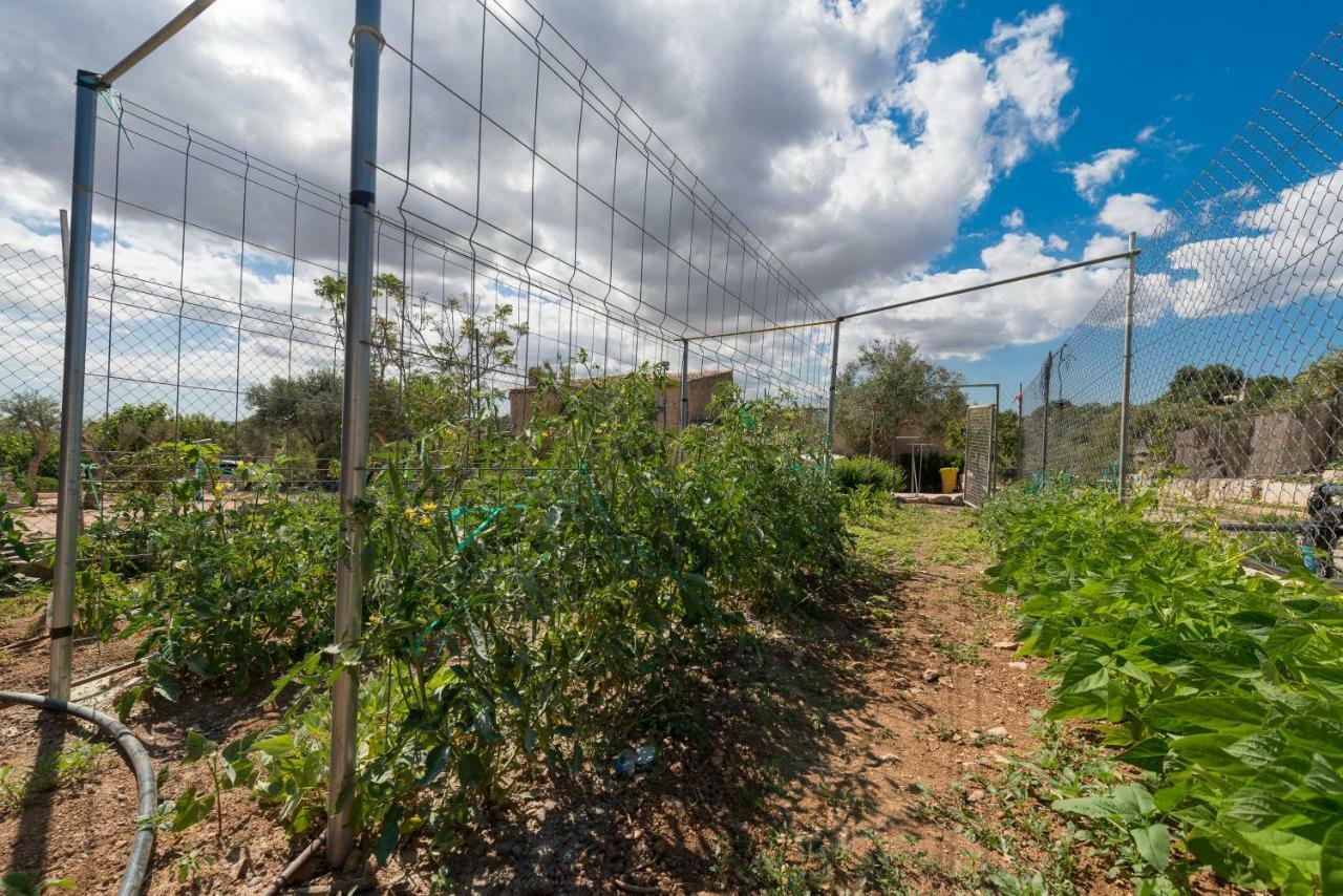Rural Carrasco La Sigarra Feriehus Son Macia (Mallorca)